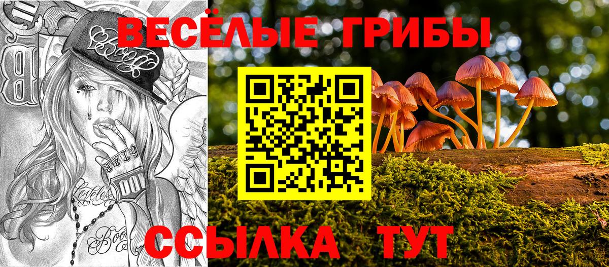 Псилоцибиновые грибы ЛСД  как найти   Мичуринск  Галлюциногенные грибы мухоморы  Вход с VPN 